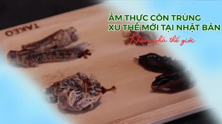 Ẩm Thực Côn Trùng - Xu Thế Mới Tại Nhật Bản 