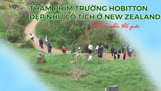 Thăm phim trường Hobitton đẹp như cổ tích ở New Zealand