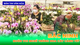 Buồn Vui Nghề Trồng Hoa Cây Cảnh Tết Ở Bắc Ninh