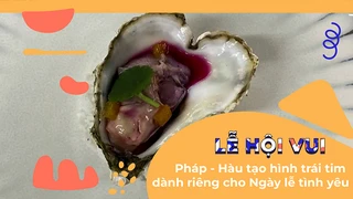 Pháp - Hàu tạo hình trái tim dành riêng cho Ngày lễ tình yêu