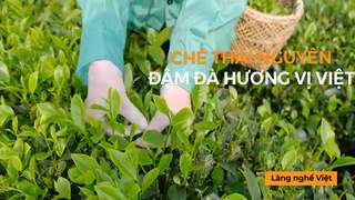 Chè Thái Nguyên – Đậm đà hương vị Việt