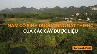 Nam cổ Sinh Dược - Vùng đất thiêng của các cây dược liệu