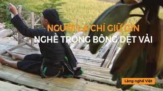 Người La Chí giữ gìn nghề trồng bông dệt vải