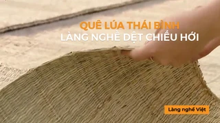 Quê lúa Thái Bình - Làng nghề dệt chiếu Hới
