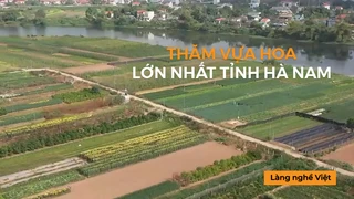 Thăm vựa hoa lớn nhất tỉnh Hà Nam