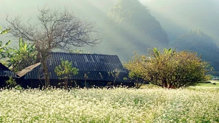 Khám phá cao nguyên Mộc Châu phần 1 HD