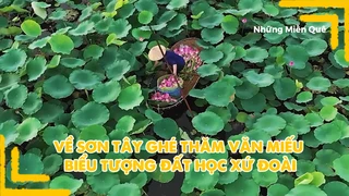 Về Sơn Tây ghé thăm Văn Miếu, biểu tượng đát học xứ Đoài