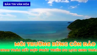 Khai Thác Môi Trường Rừng Kết Hợp Phát Triển Du Lịch Sinh Thái Tại Côn Đảo