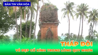 Tháp Đôi - Vẻ đẹp cổ kính trong lòng Quy Nhơn