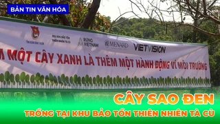 Trồng Cây Sao Đen Tại Khu Bảo Tồn Thiên Nhiên Tà Cù