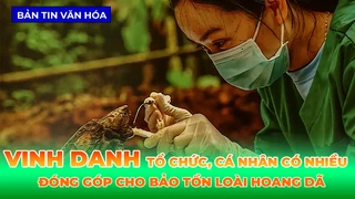 Vinh Danh Tổ Chức Và Cá Nhân Có Nhiều Đóng Góp Cho Công Tác Bảo Tồn Loài Hoang Dã