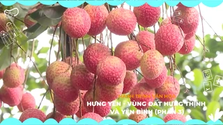 Hưng Yên - Vùng đất hưng thịnh và yên bình (Phần 3)