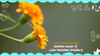 Những ngày ở Lâm Thượng (Phần 1)
