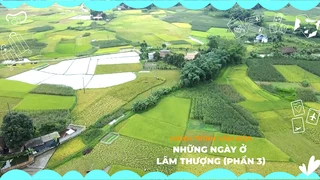 Những ngày ở Lâm Thượng (Phần 3)