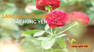Làng hoa nổi tiếng đất Hưng Yên