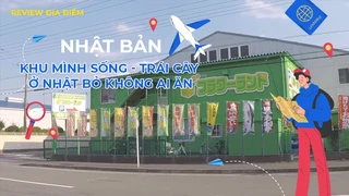 Khu mình sống - trái cây ở Nhật bỏ không ai ăn