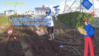 Làm vườn rau ở Nhật niềm vui cuối tuần