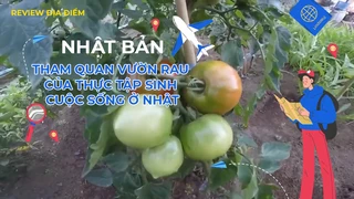 Tham quan vườn rau của thực tập sinh cuộc sống ở Nhật