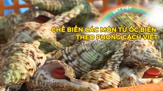 Chế biến các món từ ốc biển theo phong cách Việt