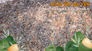 Mắm Tép Hà Yên Nức Tiếng Gần Xa (Phần 1)