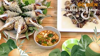  Ốc Biển - Phá đảo 7749 món chế biến từ ốc