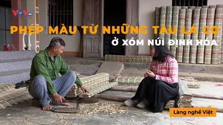 Phép Màu Từ Những Tàu Lá Cọ Ở Xóm Núi Định Hóa