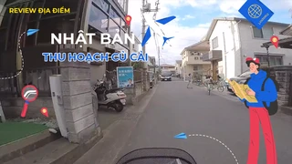 Thu hoạch củ cải sau khi trồng tại Nhật