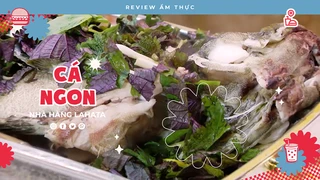 Cá ngon Lahata - Review Ẩm thực