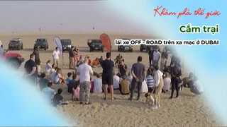 Cắm trại, lái xe OFF - ROAD trên xa mạc ở DUBAI