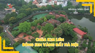 Chùa Kim Liên - Bông sen vàng đất Hà Nội
