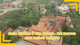 Chùa Muống ở Kim Thành - Hải Dương linh thiêng thế nào