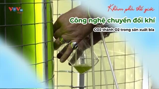 Công nghệ chuyển đổi khí CO2 thành O2 trong sản xuất bia