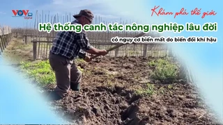 Hệ thống canh tác nông nghiệp lâu đời có nguy cơ biến mất do biến đổi khí hậu