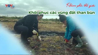 Khôi phục các vùng đất than bùn