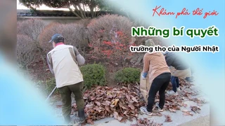 Những bí quyết trường thọ của Người Nhật - Khám phá thế giới 