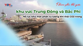 Nỗ lực khử một phần tư lượng khí thải CO2 trong khu vực Trung Đông và Bắc Phi