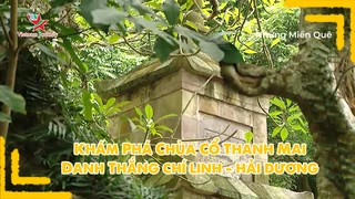 Khám phá chùa cổ Thanh Mai - Danh thắng Chí Linh, Hải Dương