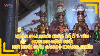 Khám phá ngôi chùa cổ ở Ý Yên hơn 800 năm tuổi, nơi nuôi giấu cán bộ kháng chiến