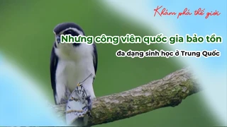 Nhưng công viên quốc gia bảo tồn đa dạng sinh học ở Trung Quốc