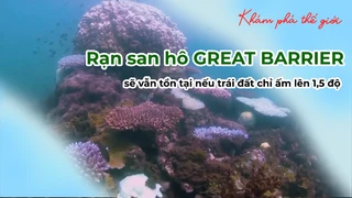 Rạn san hô GREAT BARRIER sẽ vẫn tồn tại nếu trái đất chỉ ấm lên 1,5 độ