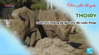 THOIRY, vườn thú hoang dã gần thủ đô nước Pháp