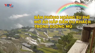 Bản Phùng Hoàng Su Phì mờ ảo hấp dẫn du khách trong sương mù