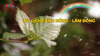 Du lich canh nông - Lâm Đồng