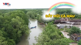 Đất mũi Cà Mau