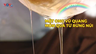 Mật ong Vũ Quang - Món quà từ rừng núi