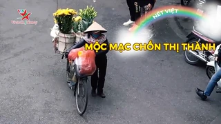Mộc mạc chốn thị thành