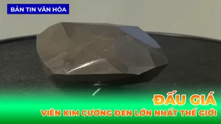Đấu Giá Viên Kim Cương Đen Lớn Nhất Thế Giới