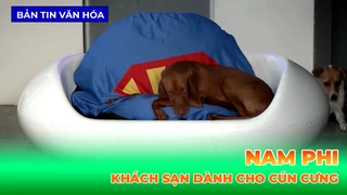 Khách Sạn Dành Cho Cún Cưng Ở Nam Phi