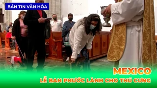 Lễ Ban Phước Lành Cho Thú Cưng Tại Mexico