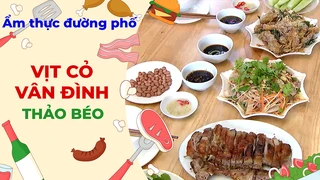 Vịt cỏ Vân Đình nhà Thảo Béo - Ẩm thực đường phố